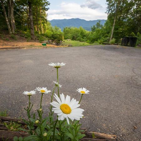 Real Log Cabin With Amazing Views, Hot Tub, Sauna, Games แกตลิงเบิร์ก ภายนอก รูปภาพ