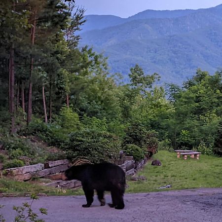 Real Log Cabin With Amazing Views, Hot Tub, Sauna, Games แกตลิงเบิร์ก ภายนอก รูปภาพ