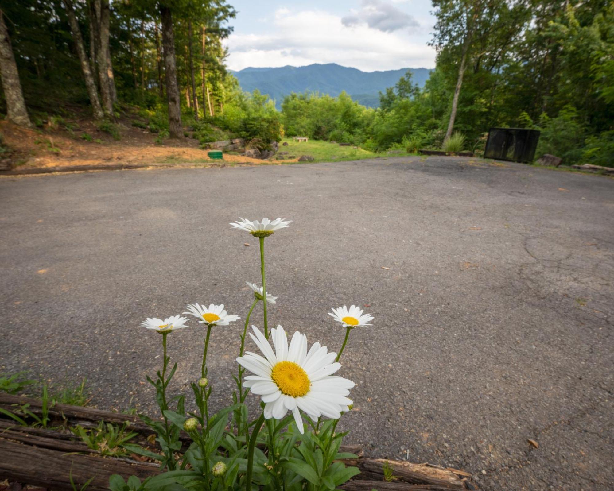Real Log Cabin With Amazing Views, Hot Tub, Sauna, Games แกตลิงเบิร์ก ภายนอก รูปภาพ